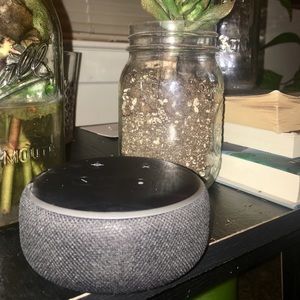 Amazon Echo Dot